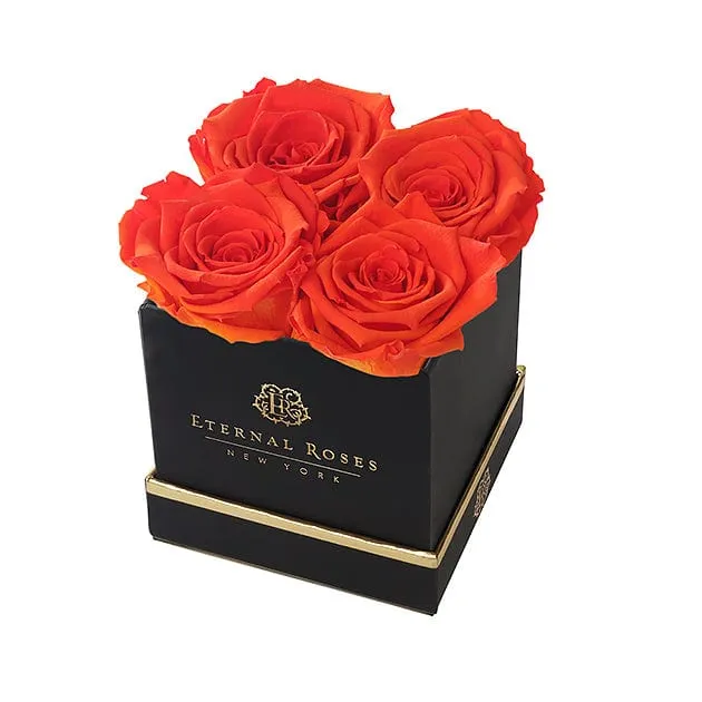 Product image 105